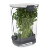 Transparent Herb Storage Container Keeps Fresh Parsley Cilantro Rosemary 1.3 ...