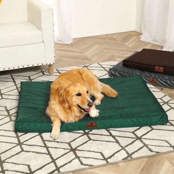 Super Soft Green X-Large Dog Bed Orthopedic Foam Waterproof Pet Mattress