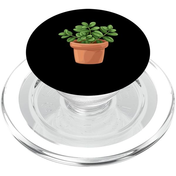 Jade Plant In A Clay Pot PopSockets PopGrip for MagSafe