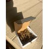 3in gold Phillips Head  construction screws 1 Lb box
