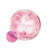 Weleda Wild Rose & White Tea Smoothing Night Cream 40ml