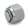 Ham-Let Stainless Steel 316 Let-Lok Compression Fitting, Plug, 1/16"