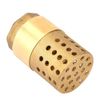 Keenso DN25 Rückschlagventil, einseitig, aus Messing, mit Innengewinde, weiblich, mit Filterfilter