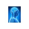 NeuroClimax nootropic spray: Regenerative brain performance, memory & cognition