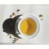 Chamomile Tea by Palm Beach Herbals  | 30ct, Caffeine-Free