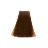 Topchic Permanent Hair Color GW 6G 60 ml