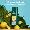 Irish Spring Ultimate Wakeup Body Wash Tea Tree + Iced Lemon, 20 oz