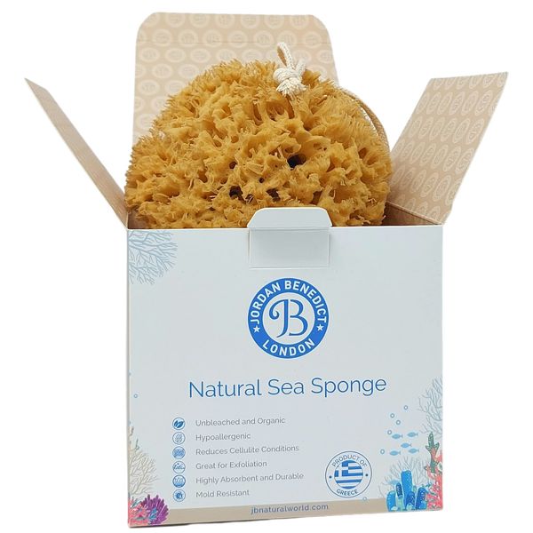 Natural Sea Sponge for Bath and Shower for Adults Children and Baby - Jordan Benedict (L)