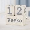 Mud Pie Milestone Blocks, White/Blue