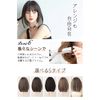 tashiko Wig, Bob Wig, Short Wig, Stand, Full Figure, Straight, Small Face, Short Bob, Cute, Cosplay, Cross-Dressing, Front, Medical Use, Cut (Inner Color)