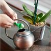 Miracle-Gro Orchid Food