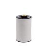 Hengst E10KFR4 D10 Fuel Filter