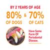 Sentry Pet Care Enzymatic Dog Toothpaste 6.2oz Tube
