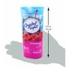 Crystal Light Raspberry Ice Drink Mix 2 Pack 6 Packets Low Calorie 12 Quarts