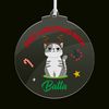 Personalised Cat 1st Christmas Acrylic Tree Ornament Keepsake Gift