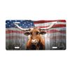 Longhorn Front Novelty Car Tag Sign with Custom Background Options