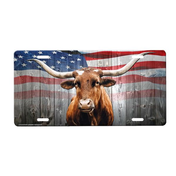 Longhorn Front Novelty Car Tag Sign with Custom Background Options