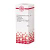 DHU Bryonia D6 Dilution, 20 ml Lösung