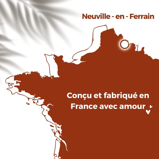 Corine de Farme  Neuville-en-Ferrain