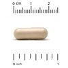 Lemon Balm Phytosome, 200 mg, 60 Veggie Capsules