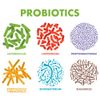 Probiotics Prebiotic Digestive Support Maintaining Gut Health Gas, Constipation