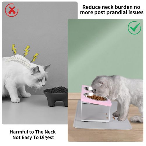 Upgraded Elevated Cat Bowls with Food Mat,15°Tilted Stand Anti Vomiting Raised Cat Dishes for Food and Water,2 Stainless Steel Bowls for Cats and Puppy（Pink）