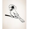 Vinyl Wall Decal Sticker Parrot W/Eye Patch Size 60inX66in Item OS_MB157B