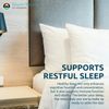 Source Naturals Sleep Science Melatonin 1 mg, 100 Orange Flavored Lozenges