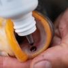 Korda Carp Care Kit