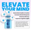 (2 Pack) Memo Defender Brain Supplement Capsules – MemoDefender All Natural