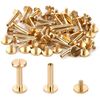 Szkoo Chicago Binding Screws - 4mm x 16mm, 25 PCS (Brass, Phillips Nut)