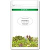 EXCTRIC Dandelion ec334 Eco Pack 400 mg x 180 capsules
