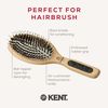 Kent Brushes Perfect For Range PF01
