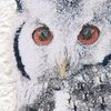 Wall Decals Bird Life Color "scops owl"