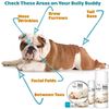Coton De Tulear Boo Boo Butter, 4 oz