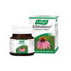 A.Vogel Echinaforce Echinacea Tablets - 120 Tabs