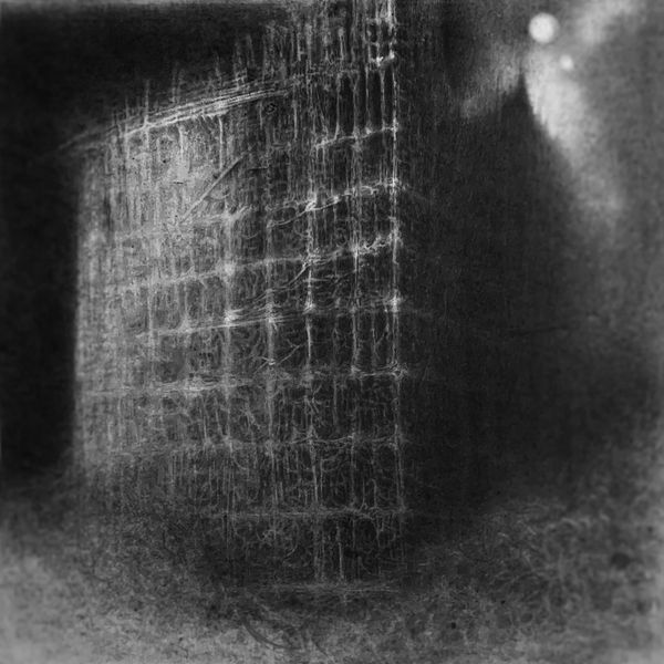 QAALM - Resilience & Despair