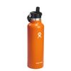 Hydro Flask Hydration 21oz Standard Mouth Flex Straw Mesa