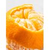 Pura Yuzu Citron Refill
