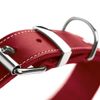 HUNTER AALBORG SPECIAL Dog Collar, Leather, Durable, Comfortable, 60 cm (M-L), Red
