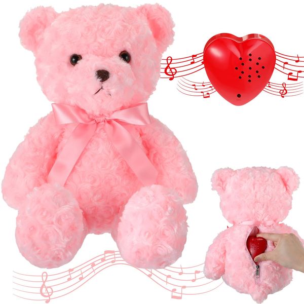 Hungdao Bear Stuffed Animals with Voice Recorder Set, 60 Seconds Voice Sound Recorder Module 16 Inch Soft Plush Bear Cute Stuffed Bear with Zipper Sound Box Recordable Heart for Boys Girls (Pink)