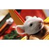Stuart Little 2 (Two-Disc Blu-ray/DVD Combo)