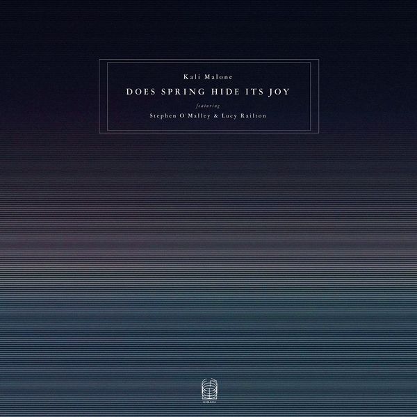 Does Spring Hide Its Joy (Feat. Stephen O'Malley & Lucy Railton) [VINYL]