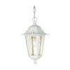 Nuvo 60/991 Hanging Lantern with Clear Seeded Glass, White