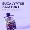 Tulipan Negro Purifying Micellar Shampoo With Mint extract And Eucalyptus 13,50