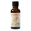 Wandering Citrus Blend Essential Oil, 1.0 fl oz (30 ml)