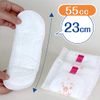 Poise Skin Care Pad for Medium Weight (Light Light), 1.9 fl oz (55 cc), Value 42 Sheets (For Women Light Urinary Spills)