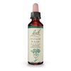 Bach Original Flower Remedies Centaury Be Assertive 0.7 fl oz 20mL