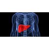 liver cleanse - LIVER SUPPORT COMPLEX - super liver cleanse - 2 Bot 120 Capsules