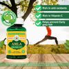 Apollo Ayurveda Organic AMLA Capsules - 60 Capsules